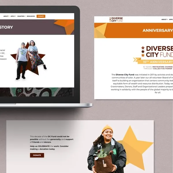 Diverse City Fund - Building A Digital Home for Community Action 2