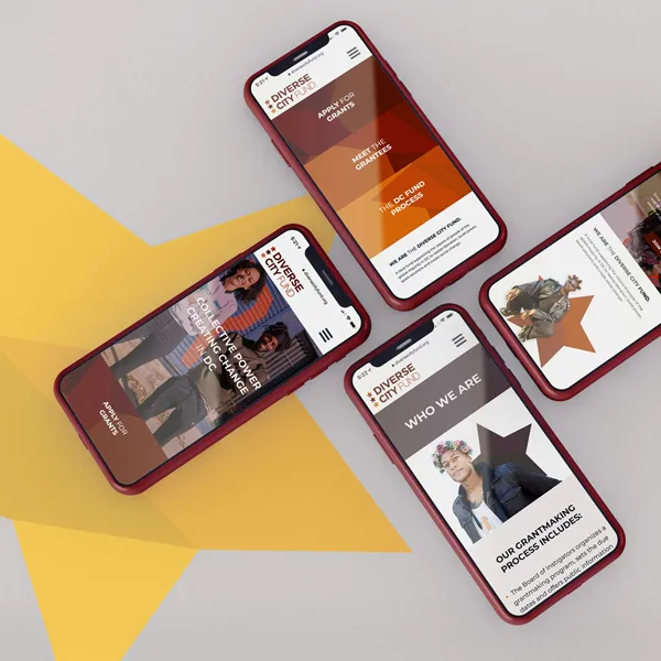 Diverse City Fund - Building A Digital Home for Community Action 3