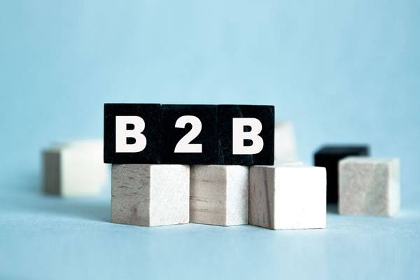 B2B: BUSINESSES & COMPANIES